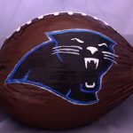 Carolina Panthers Painted Coconut