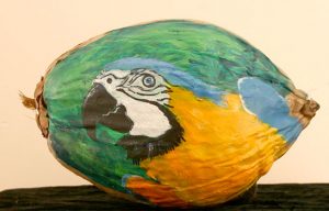 Parrot Painted Coconut