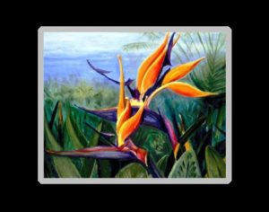 Bird of Paradise Art Prin