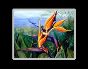 Bird of Paradise Art Prin