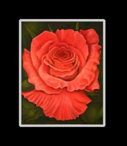 Coral Rose Art Print