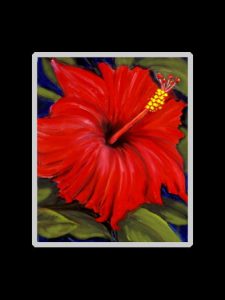 Red Hibiscus Art Print