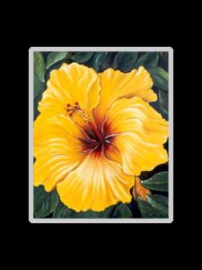 Yellow Hibiscus Art Print