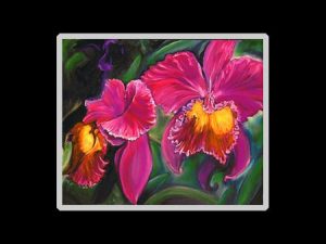 Double Cattleya Orchid Print