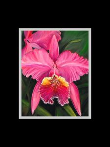 Pink Cattleya Orchid Print