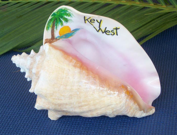 Painted Conch Shell