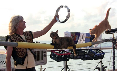 Key West Catman