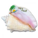 Key West Painted Conch Shell