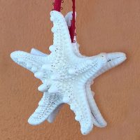 Dual Star Starfish Christmas Tree Ornament