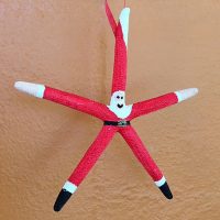 Santa Star Fish Christmas Tree Ornament