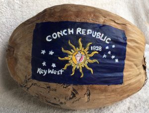 Painted Coconut