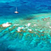 The Reef Matted Photo