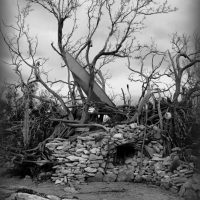 County Beach Matted Photo