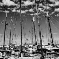 Schooner Wharf Matted Photo